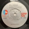 GUNDOGDU 45 TURKISH PSYCH FOLK MIDDLE EAST GROOVE TURKEY MEGA RARE HEAR