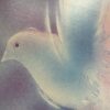 SECRET #15 POLISH RARE SYNTH EERIE DRAMA PIANO SAMPLES HEAR