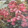 MELODIYA ENSEMBLE FAMILIAR MELODIES RUSSIAN JAZZ FUNK SAMPLES HEAR
